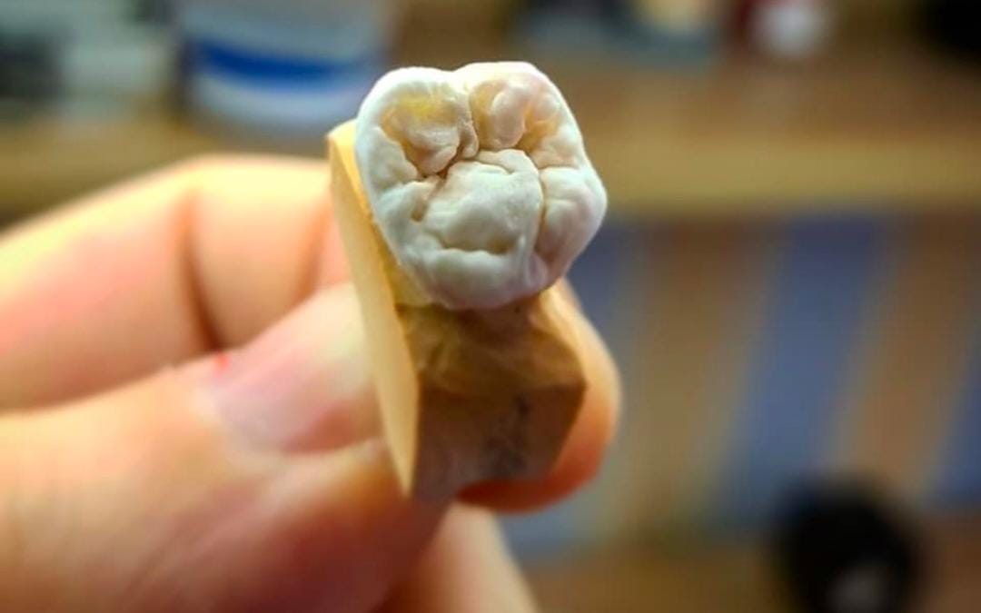 A single crown on its die
